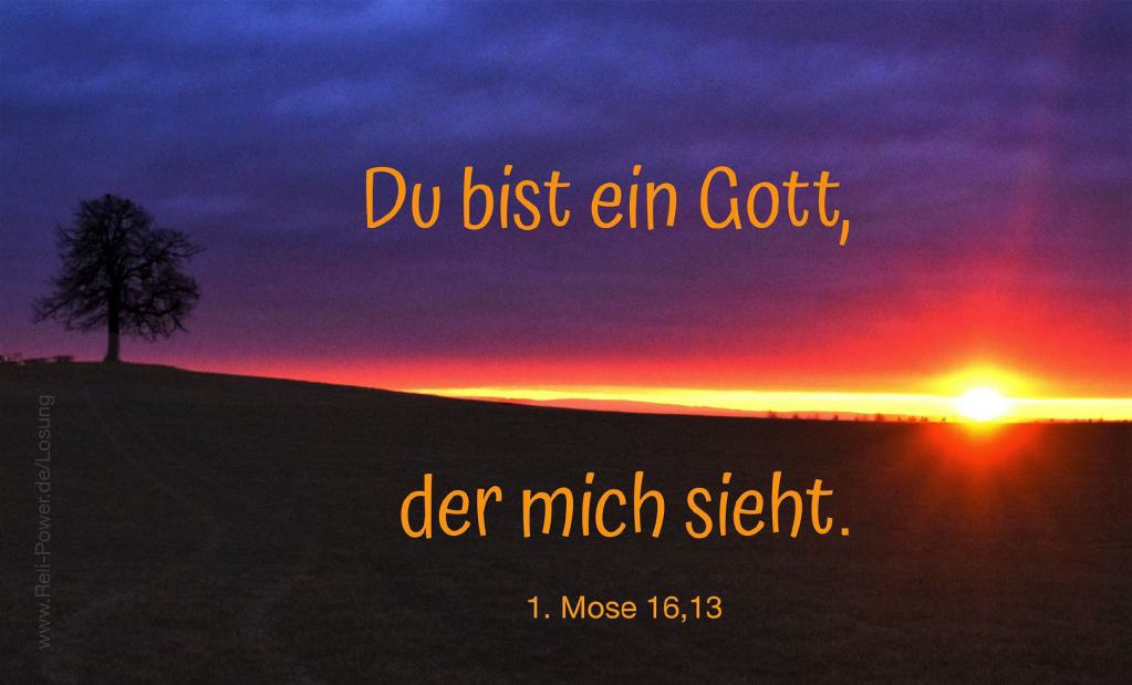Du bist ein Gott, der mich sieht. (1. Mose 16,13)